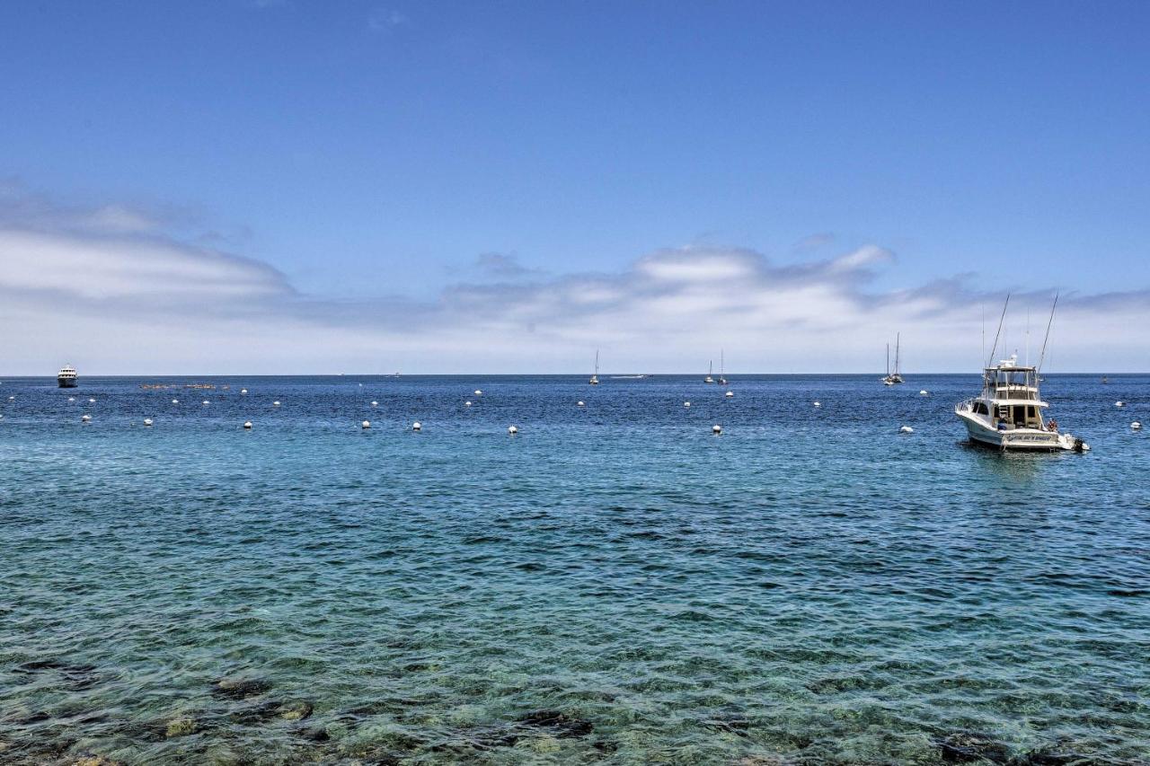 Catalina Island Cottage - Walk To Main St And Beach! Avalon Exteriér fotografie
